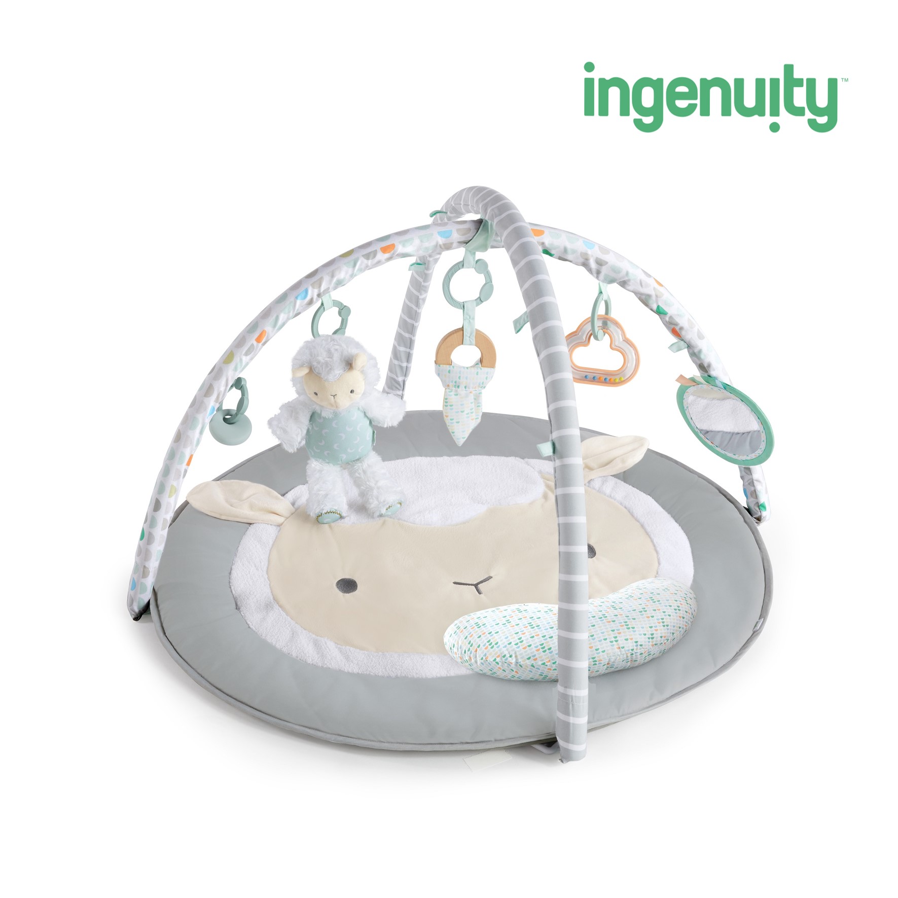 ingenuity / シープ スポット・アクティビティジム