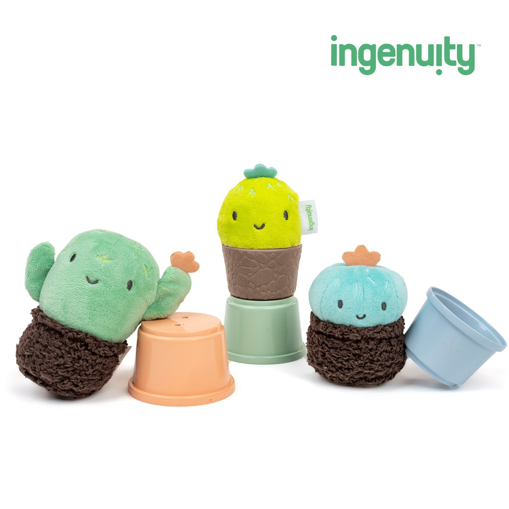 ingenuity / サボテン ポットラトル - カーム スプリングス